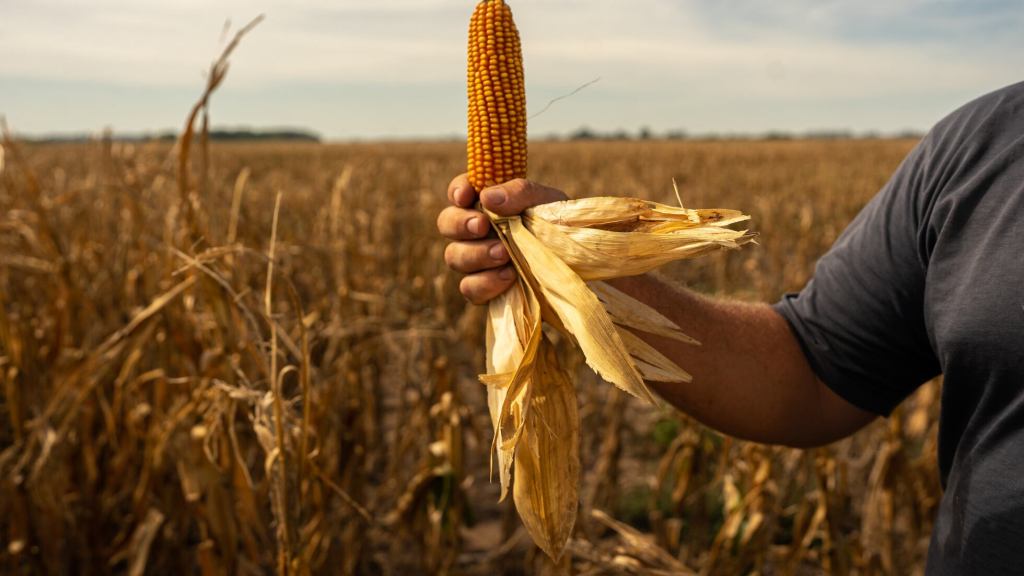 ¿Habrá una nueva fase de La Niña y su reducción de precipitaciones?