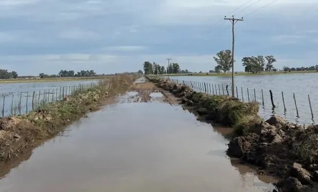 Un millón de hectáreas bajo agua: productores exigen medidas urgentes y reactivación del Plan del Río&nbsp;Salado