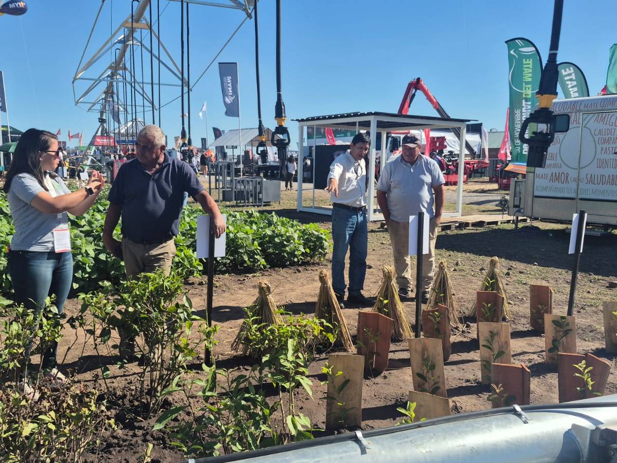 Genética aplicada al campo: el INTA presentó nuevas variedades de cultivos en&nbsp;Expoagro