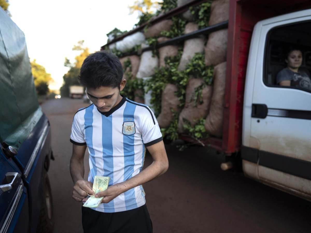 La solución a la crisis de la Yerba Mate: ¿Seguir en la&nbsp;mesa?