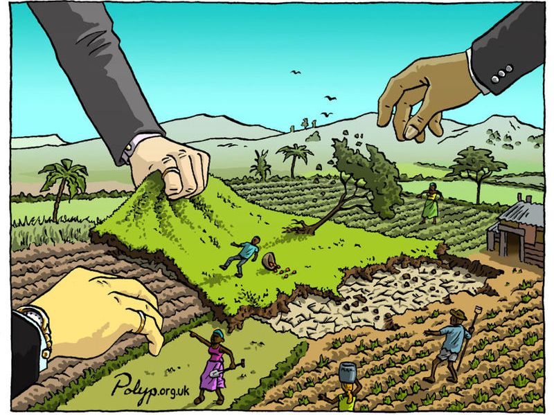 Los países buscan limitar la compra de tierras agrícolas por&nbsp;extranjeros