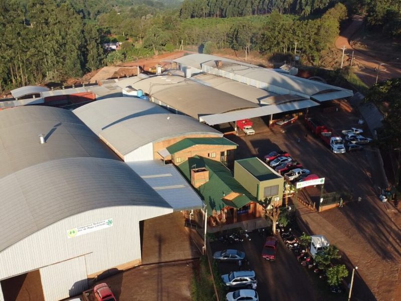 Una cooperativa misionera logró exportar yerba mate a China y abre un nuevo&nbsp;mercado