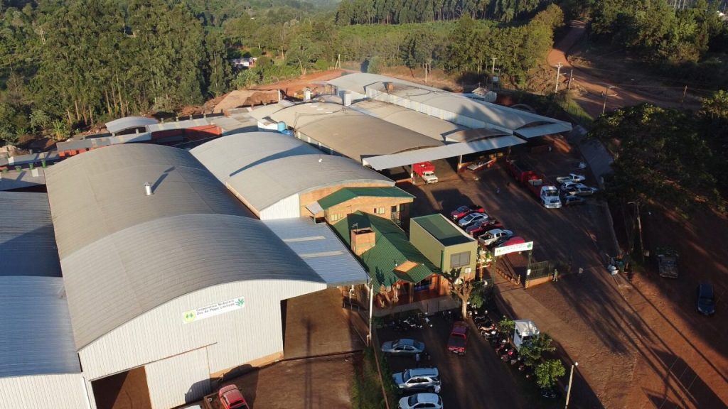 Una cooperativa misionera logró exportar yerba mate a China y abre un nuevo&nbsp;mercado