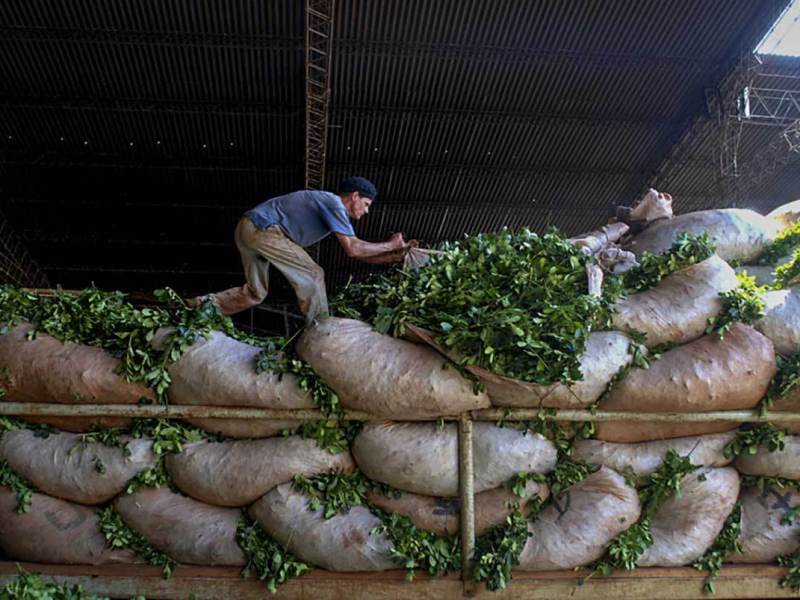 Sólo cuatro economías regionales muestran indicadores favorables y la yerba mate continúa en zona&nbsp;crítica