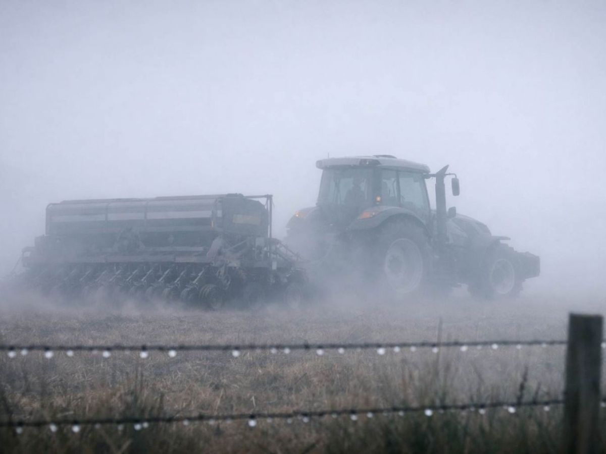 El Niño podría impulsar una de las mejores campañas agrícolas de Argentina en la última&nbsp;década